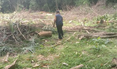 Suryadi Dg Naba: Sepuluh Tahun Terbengkalai, Lahan Patallasan Akan Disulap Jadi Destinasi Eduwisata Pertanian